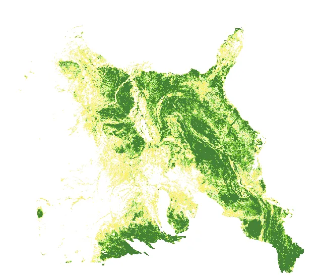 A density map of some forest.