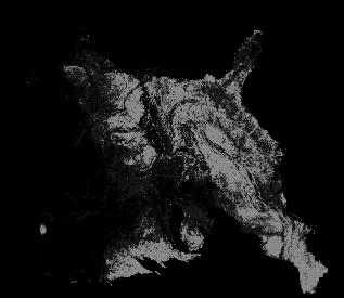 A converted density map of some forest.